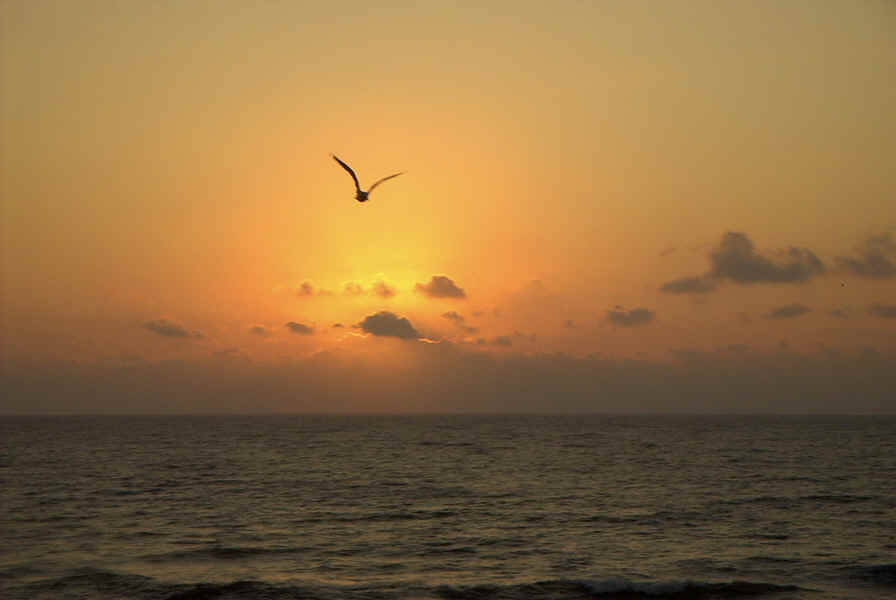 Sunrise at Carolina Beach, NC