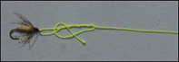 Improved Clinch Knot