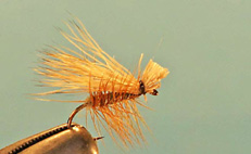 Elk Hair Caddis