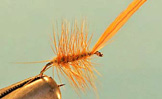 Elk Hair Caddis