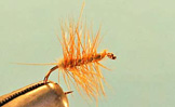 Elk Hair Caddis