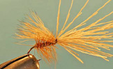 Elk Hair Caddis