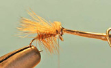 Elk Hair Caddis