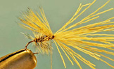 Elk Hair Mayfly