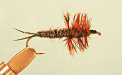Salmon or Stonefly Nymph