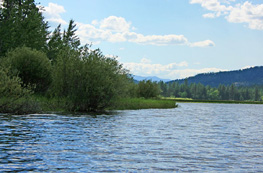 Water Clarity