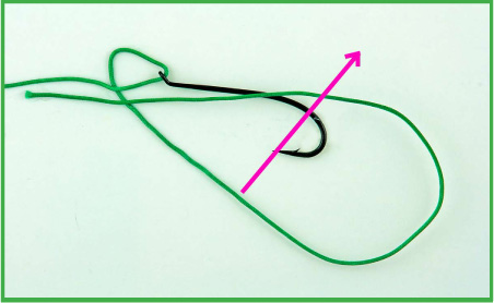 Nail Knot with a Loop Tying on a Hook