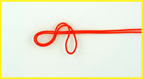 Blood Bight Knot (Figure 8 Loop in the Bight)