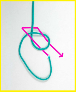 Cowboy Bowline or Dutch Bowline Knot 