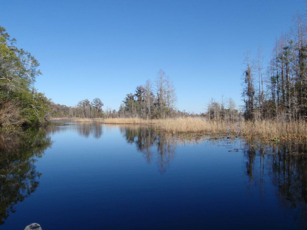 Okefenokee Swamp – Love The Outdoors